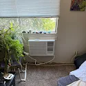 A small room with a window air conditioner, a leafy green plant on a table, partially open blinds, a bed in the corner, and sunlight coming through the window onto a carpeted floor.